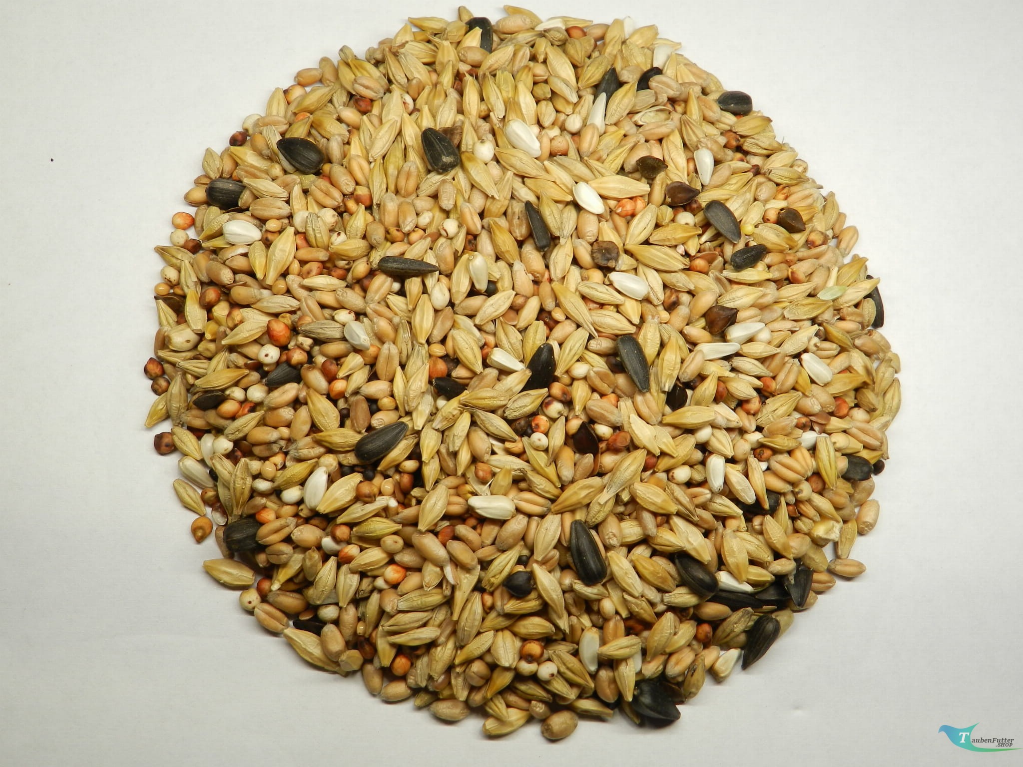 PRO ATTRACT Futterspirale Im Lockjagd Shop Kaufen Produktbild-Vorschau 9