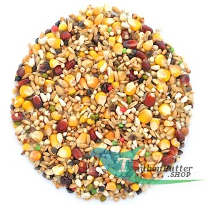 BS+ - Ohne Hulsenfruchte 25kg Elpol
