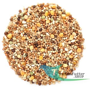 RZ 25kg Rassetauben mit Mais (Popcorn) Elpol