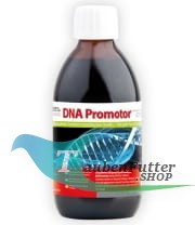 DNA promotor.jpg