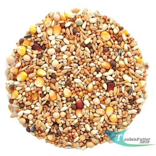 WTI_witwer_elpol_taubenfutter_shop.jpg
