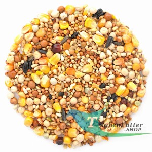 BP - Futter ohne Weizen 25kg Elpol
