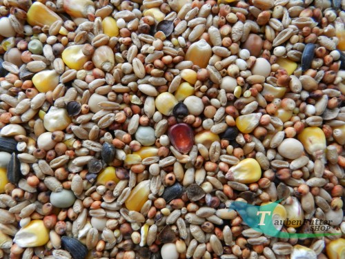 sbj_standard_elpol_taubenfutter_shop.JPG