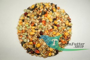 Super Condition Complete Elpol 25kg