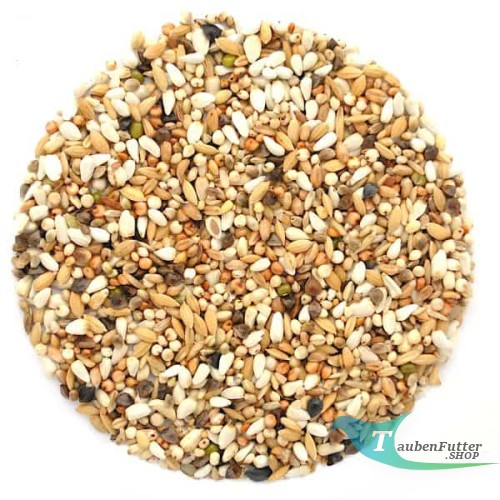 DL_diet_flug_elpol_taubenfutter_shop.jpg