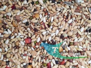 AIDI Mix 1 - 20kg