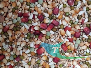 Aidi Mix 2 - 20kg