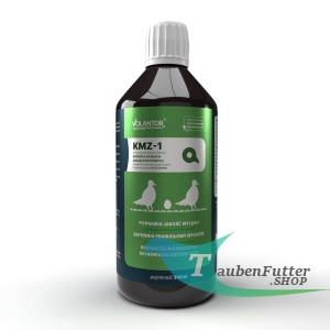 KMZ-1   Reproduktion Und Inbetriebnahme 500ml