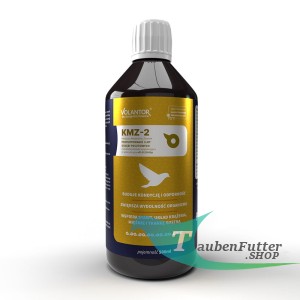 KMZ-2 Vorbereitung und Flug 500ml