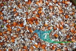 LP - LEICHT VERDAULICH PLUS 20kg Mrowca