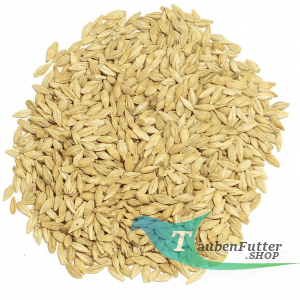 Braugerste 25kg 