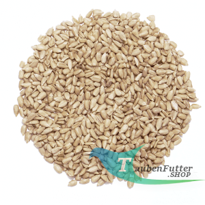 Sonnenblumenkerne geschält 25kg
