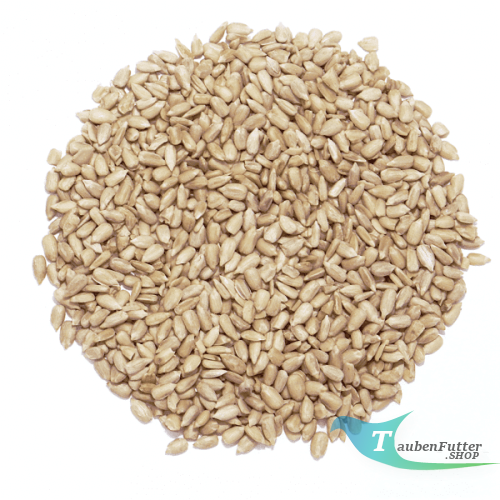 Sonnenblumenkerne geschält 25kg.png