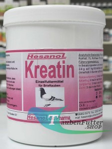 Kreatin 500g Hesanol