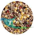 bp_agroking_ taubenfutter_shop