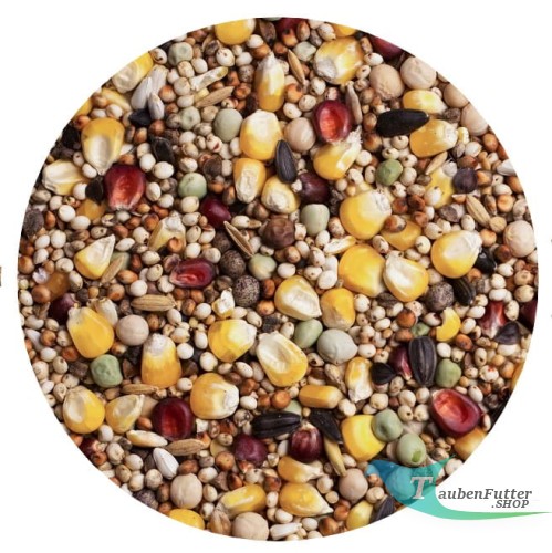 bp_agroking_ taubenfutter_shop