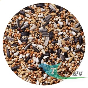 DN – kleine Ölsaaten Agroking 20kg x 50 Sacke x 18E