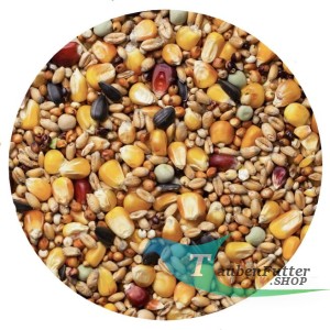 SEE - Standardfutter 25kg Agroking