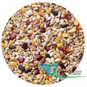 EN – Energy AGROKING 20kg