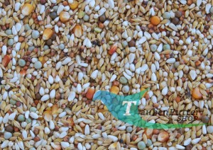MANY 1 - Mrowca 20kg