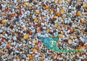 MANY 2 - Mrowca 20kg