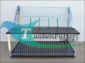 new_rancho_sputnik_neon_Ausflüge_