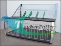 new_rancho_sputnik_neon_Ausflüge_