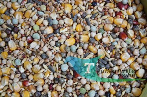 4Z - Wintermischung - 25kg Mrowca