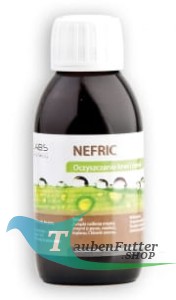 Nefric - Blut- und Nierenreinigung 125ml