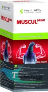 MUSCUL Drink 250 ml - Vollkommener Baustoff der Muskeln