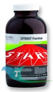 SPRINT Forma 250 g - No. 10 - Super in Form für Sportflüge bis 350 km 