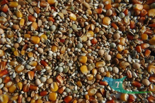 Premium Reise site_8326.jpg