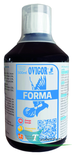 obraz_2020-11-30_190110.png