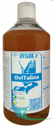 obraz_2020-12-02_145518.png