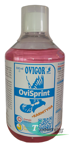 obraz_2020-12-02_150323.png