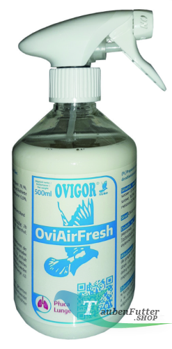 obraz_2020-12-03_162136.png