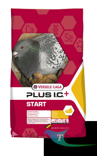start plus.jpg.png