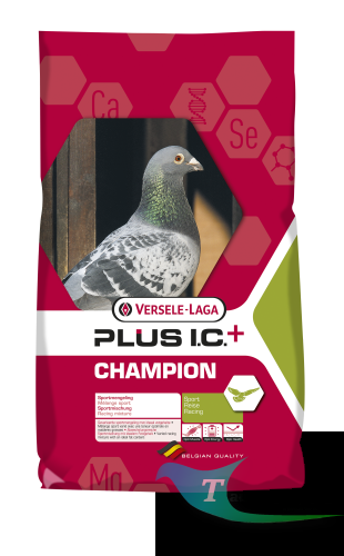 champion.png