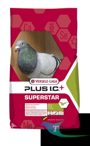 superstar.png