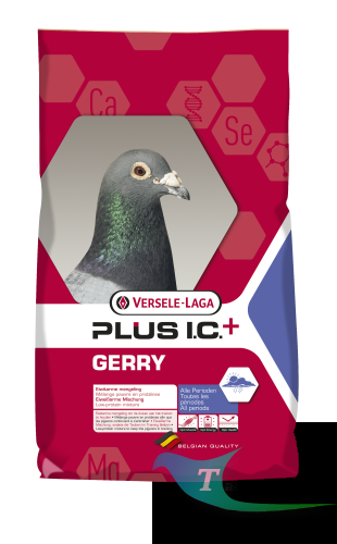 gerry.png