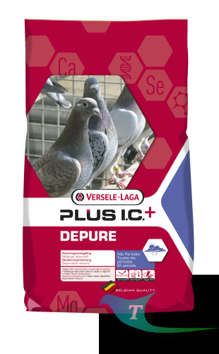 depure.png