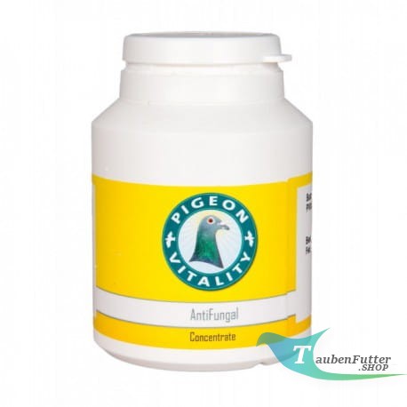 antifungal grzyby.jpg